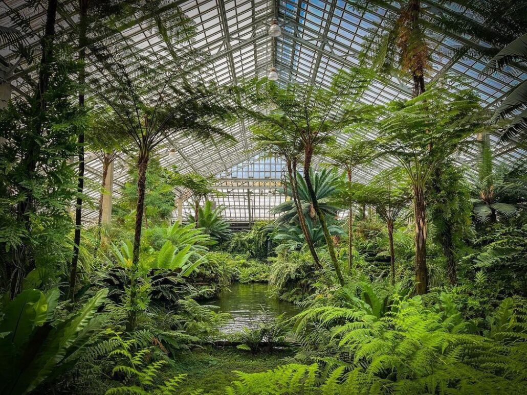 Large glass greenhouse filled with lush tropical plants, ferns, and palm trees encircling a tranquil pond beneath a grid-patterned glass roof—an enchanting setting among Chicago wedding venues.